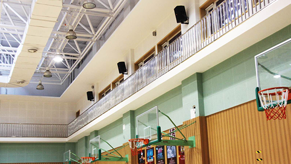 香蕉视频成人在线館香蕉视频APP污工程擴聲係統的解決方案