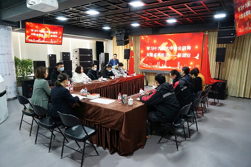 ZOBO91香蕉视频官网黨支部丨開展“學習貫徹黨的十九屆六中全會精神”主題黨日活動