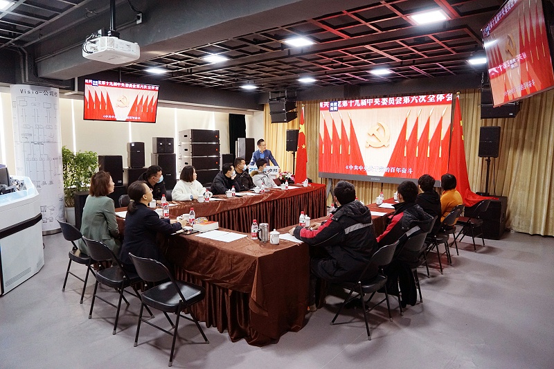 ZOBO91香蕉视频官网黨支部丨開展“學習貫徹黨的十九屆六中全會精神”主題黨日活動
