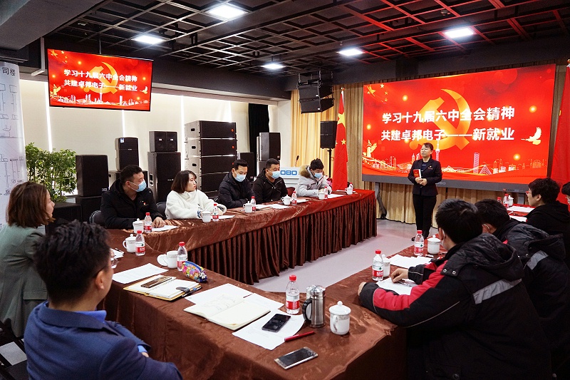 ZOBO91香蕉视频官网黨支部丨開展“學習貫徹黨的十九屆六中全會精神”主題黨日活動