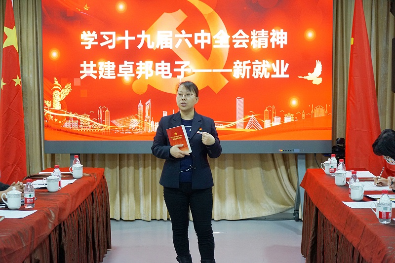 ZOBO91香蕉视频官网黨支部丨開展“學習貫徹黨的十九屆六中全會精神”主題黨日活動