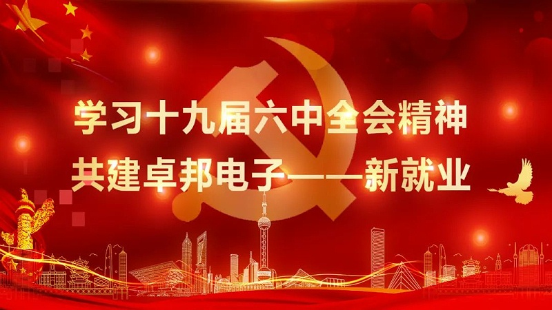 ZOBO91香蕉视频官网黨支部丨開展“學習貫徹黨的十九屆六中全會精神”主題黨日活動