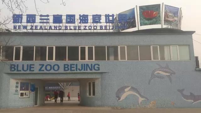 案例 ▎ZOBO91香蕉视频官网為富國海底世界打造音視頻係統